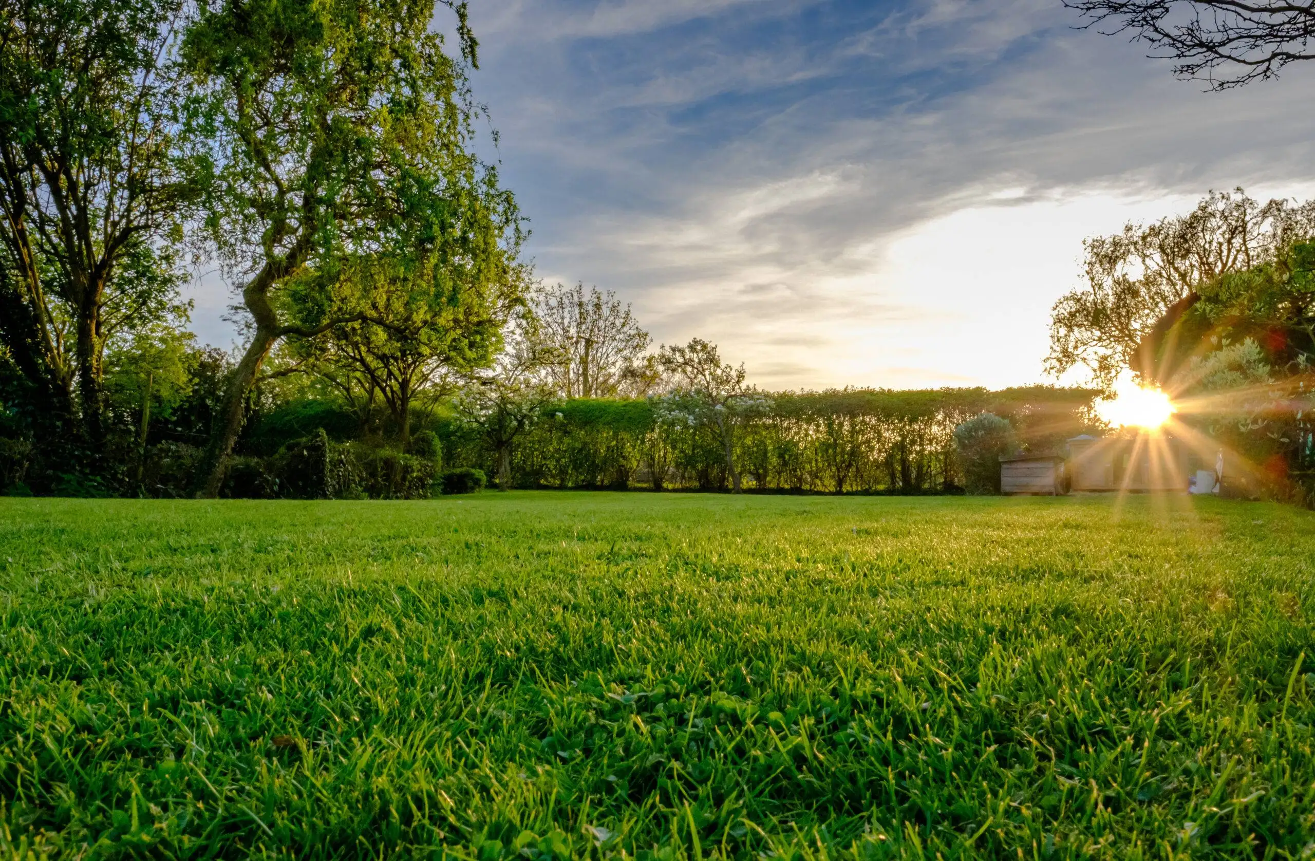 Lawn Care