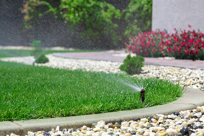 Lawn Health: The Importance of Proper Irrigation